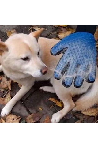 Kedi ve Köpek İçin Tüy Toplama Eldiveni