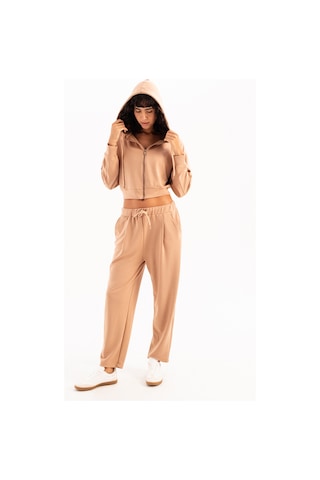 Justever Oversize Fit Beli Lastikli Cepli Rahat Kesim Vizon Kadın Eşofman Altı Pantolon - Flex Vizon