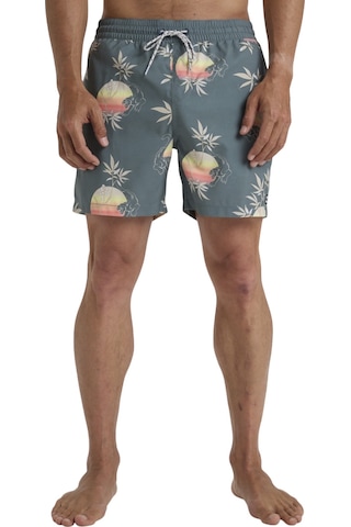 Bıllabong Billabong Vacay Lb Erkek Volley Short Dtr Çok Renkli