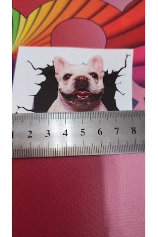 3d Hayvan Desenli French Köpek Figürlü Sticker Etiketi