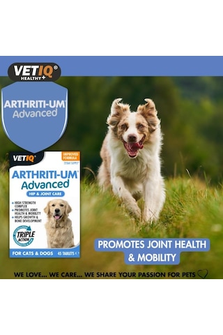 Vet Iq Arthiriti-um Kedi Ve Köpekler İçin Kalça Ve Eklem Bakımı 45 Tablet