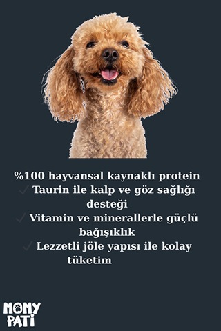Etli Konserve Köpek Maması 400 Gr X 12 Adet Yetişkin Köpekler İçin