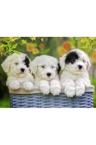 Ravensburger 200 Parça Puzzle Puppies 127658