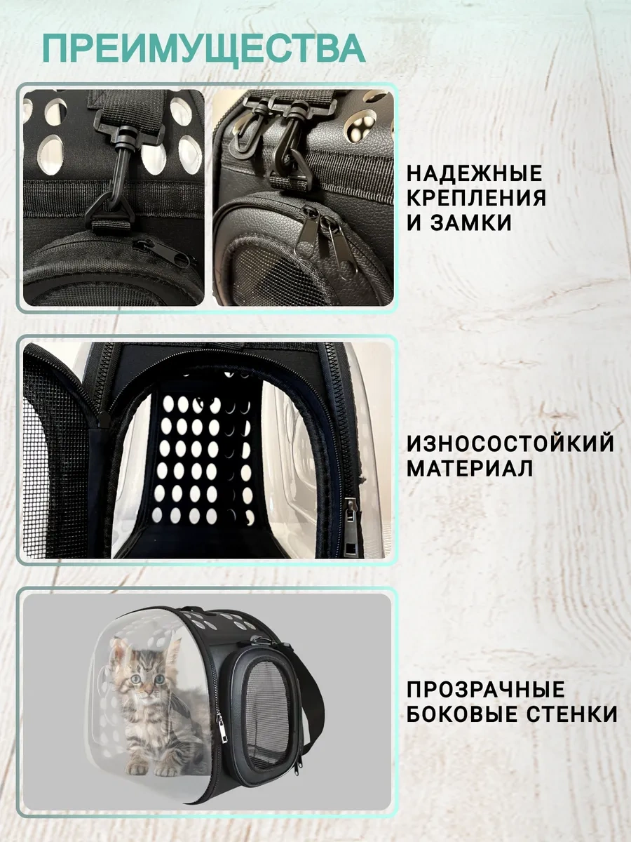 Rnb4pets Kedi Ve Köpek Taşıma Çantası 128039652