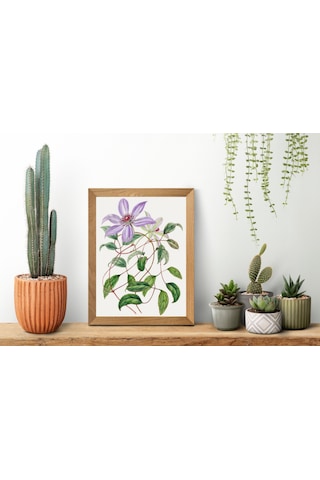 Purple Flower Çerçevesiz Poster "Botanica Serisi"
