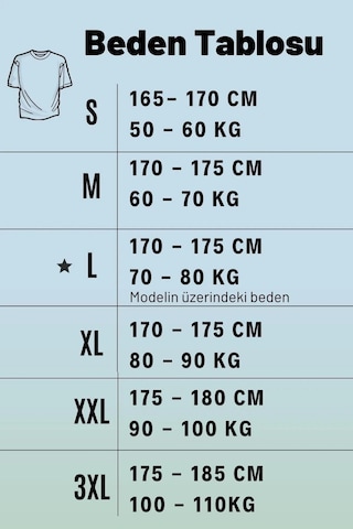 Erkek Mavi Çizgi Baskılı Normal Kesim Bisiklet Yaka Erkek Tişört 22etshmros 001
