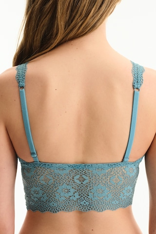 Penti Mavi Lace Bralet