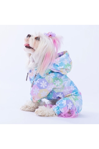Pawstar Flores Fileli Köpek Tulum Yağmurluğu