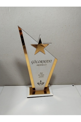 Okullar İçin En Temiz Sınıf-en Çalışkan Sınıf Hediyelik Plaket Çok Renkli