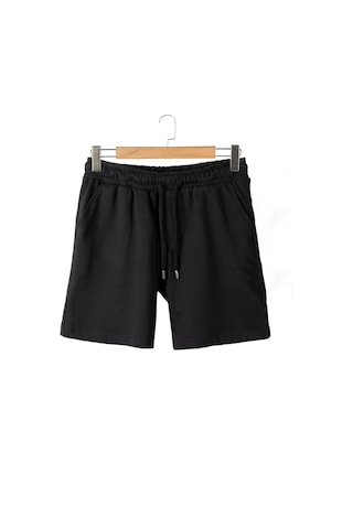 Terapi Men Erkek Siyah Basic Regular Fit Şort & Bermuda Siyah