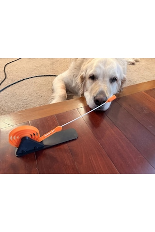 Buradabulabilirsin 3d Baskı Yaylı Spiral Kedi Oyuncağı Zıplayan Spiral Etkileşimli Oyun Aparatı Turuncu Siyah Bbz