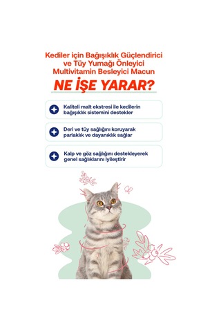 Biofeline Kediler İçin Multivitaminli Malt Macun 100g