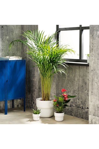 Plastik Saksı, Beyaz, 24 Cm 3 Adet