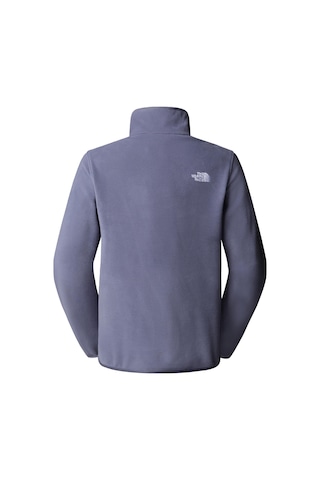 F0a8d2jbtr1-r The North Face W Glacıer Fleece 1-4 Zıp Jacket Kadın Sweatshirt F0a8d2jbtr1-r Mor