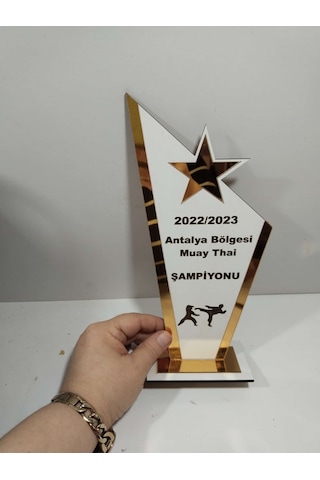 Plaket Karete/boks/judo/muay Thai Turnuvalarına Özel Altın