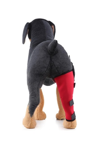 Homyl Köpek Yardımcı Kemer Sağ-arka-bacak-kırmızı-l