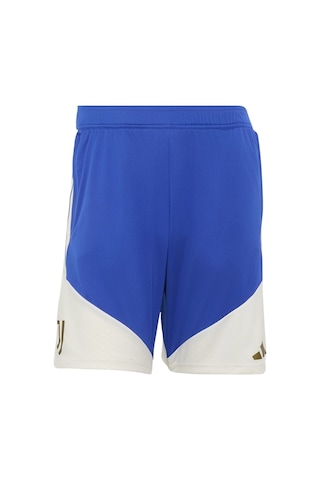 Adidas Erkek Şort Juve Tr Sho Kh1217 Mavi