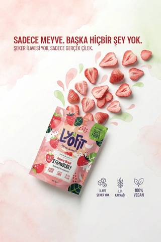 Freeze Dried Çilek 12 G