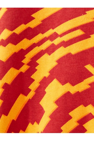 Gsstore Galatasaray Çocuk Hoodie C252110 Kırmızı