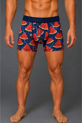 Brem Handsome Karpuz Desenli Erkek Boxer Çok Renkli