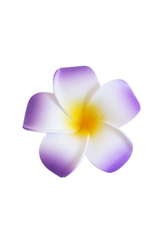 Plumeria Çiçek Klipleri Gerçekçi Detaylı Barrette Saç Aksesuarları İnce Kalın Uzun Kısa Saçlar İçin Blue
