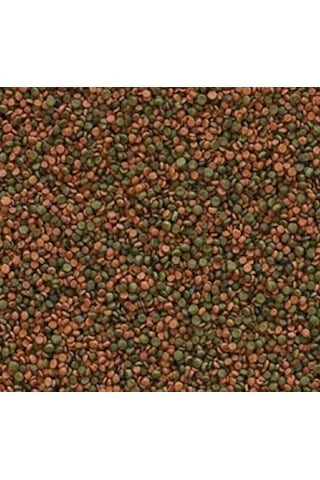 Tropical Cichlid Gran 500 G Kovadan Bölme Balık Yemi