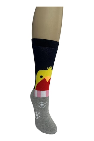 3'lü Yılbaşı Havlu Kadın Soket Çorap Çok Renkli