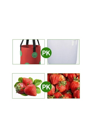 3 Galon Topsy Turvy Domates Ekici, 12 Delikli Asma Çilek Ekici, Nefes Alabilen Çilek Kumaş Sebzeler İçin Çantalar Yetiştirin 3 Paket