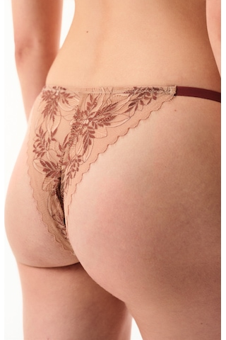 Penti Bej Lace Dantel Brazilian Külot