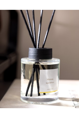Madame Coco Repertoire Mimosa Çubuklu Oda Kokusu 100 ML