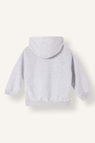 Defacto Kapüşonlu Fermuarlı Sweatshırt Hırka Erkek Bebek E8697a526augr396 Gri-gr396