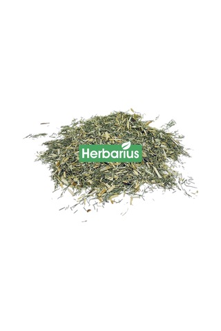 Herbarius Kırkkilit Otu At Kuyruğu 100 G