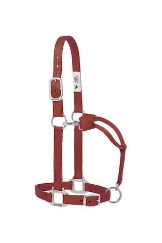 Weaver Leather 35-7375-gh Orijinal Ayarlanabilir Naylon Halter Krom Kaplama Donanım, Grafit, 2,54 Cm Ortalama At