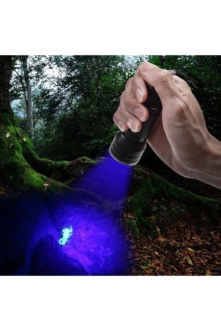 Harry 2 Adet Uv Işınlı 21 Led Ultraviyole Mor Işıklı Metal El Feneri Siyah