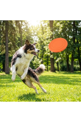 Runaway Silikon Köpek Frizbisi Ve Taşınabilir Su Kabı