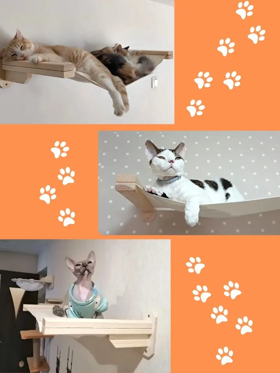 Go Cats Duvara Asılan Kedi Hamak 161475719