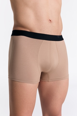 Albero Natur Gots Sertifikalı Organik Pamuk Erkek Trunk Boxer İç Çamaşırı Sütlü Kahverengi