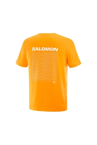 Salomon Graphıc Perf Ss Tee M Zinnia// Koşu T-shırt Lc2219700 001