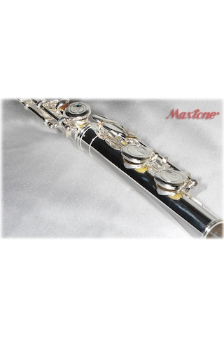 Maxtone Tfc-53Se Flüt C Gümüş Kaplama Kutulu : Maxtone