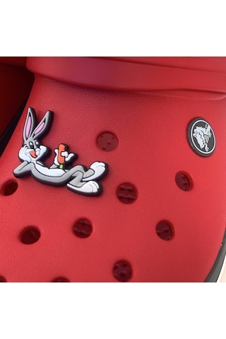 Crocs Terlik Süsü & Renkli Aksesuar Jibbitz (474782410) Çok Renkli