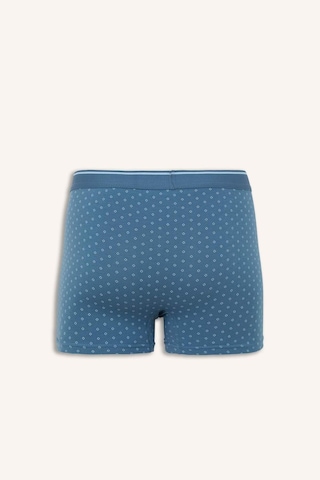 Defacto Regular Fıt Baskılı 3lü Boxer I1455ax26spbe526 Mavi-be526