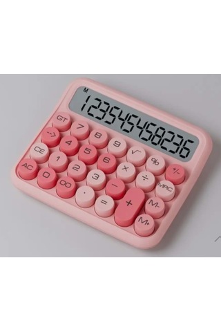 Onezero Zr739 Jn-800 Junno Pembe Hesap Makinesi