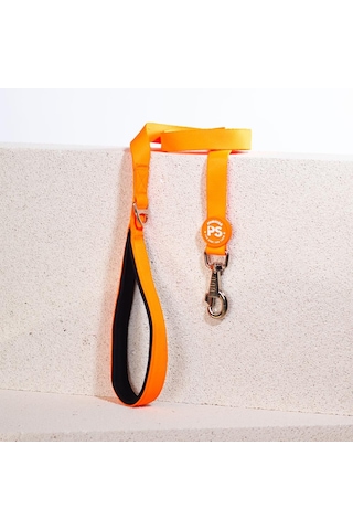 Pawstar Neon Turuncu Leash Kedi Köpek Sevk & Gezdirme Kayışı Köpek Uzatma Tasması Turuncu