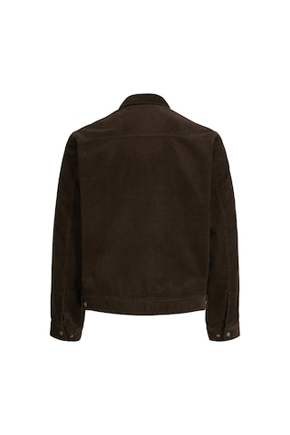Jack & Jones Erkek Klasik Yaka Uzun Kollu Ceket - Loyd - 12300685 Hot Fudge