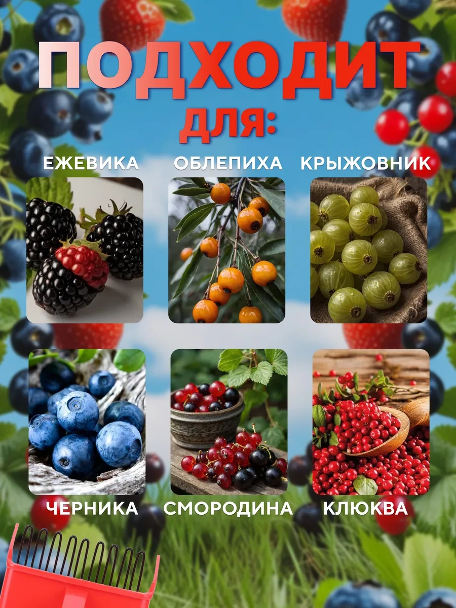 Dla Sada Meyve Toplama El Siyahı 339616421