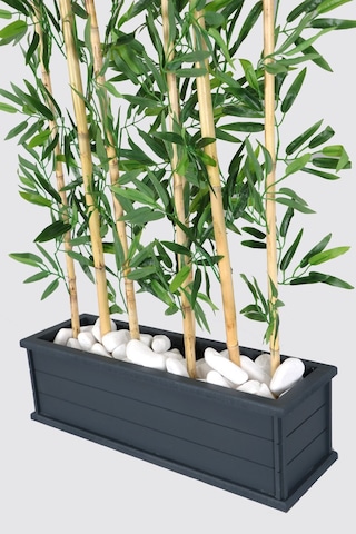Yapay Çiçek Deposu Islak Yapraklı 7 Çubuklu Gri Saksıda Bambu Seperatör Asorti 20x70x120-155cm