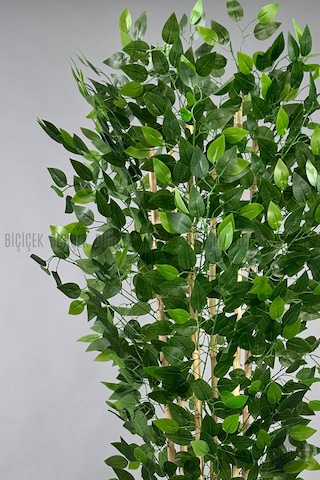 Biçiçek Yapay Benjamin Ağacı 170cm Krem Gümüş Metal Saksıda