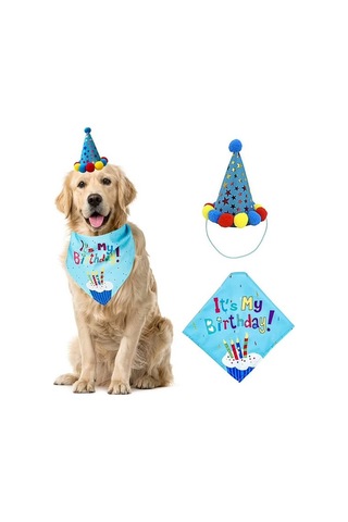 Köpekler İçin Doğum Günü Partisi Seti - Kutlama Malzemeleri Çok Renkli