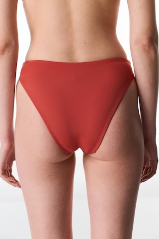Penti Tarçın High Leg Slip Bikini Altı