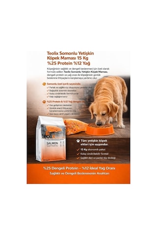 Teolix Somonlu Yetişkin Köpek Maması 15 Kg %25 Protein %12 Yağ